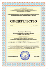 Свидетельство · Шамшина&nbsp;Н.В.